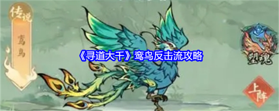 寻道大千鸾鸟反击流怎么玩 寻道大千鸾鸟反击流全攻略2026