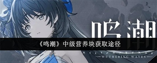 鸣潮中级营养块怎么获取 鸣潮中级营养块获取技巧2026